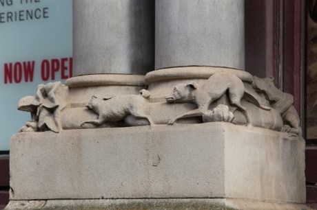 Kildare Street, Dublin, Ireland, April 2020 © Tom O’Connor 2020