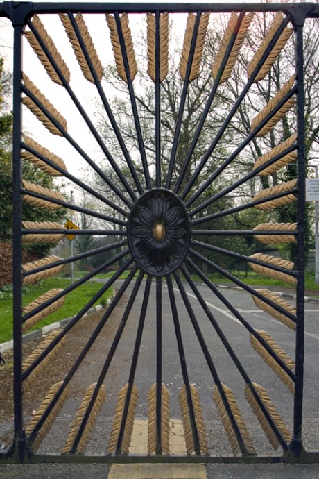 Milltown, Dublin, Ireland, April 2020