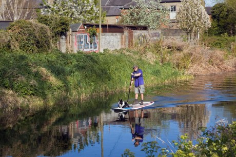 The Grand Canal, Dublin, Ireland, April 2020