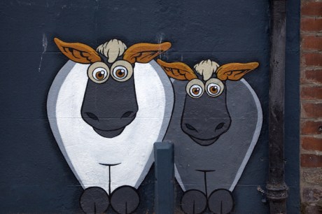 Mount Pleasant Terrace, Dublin, Ireland, April 2020[