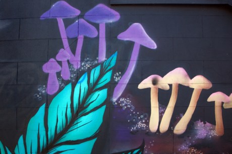 Longwood Avenue, Dublin, Ireland, April 2020