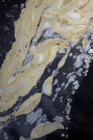 Camden Lock, Dublin, Ireland, May 2020