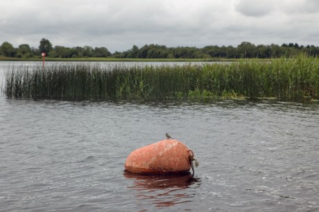 Termonbarry, Roscommon, Ireland, June 2020