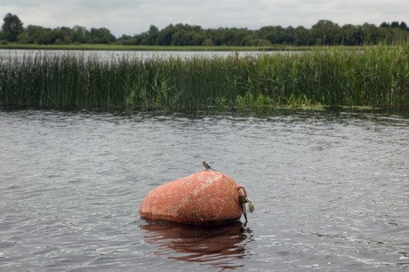 Termonbarry, Roscommon, Ireland, June 2020
