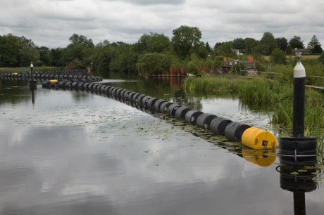 Termonbarry, Roscommon, Ireland, June 2020