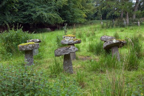 Moone, Kildare, Ireland, July 2020