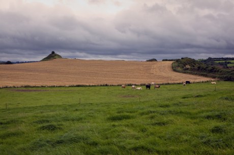 Kilgowan, Kildare, Ireland, July 2020