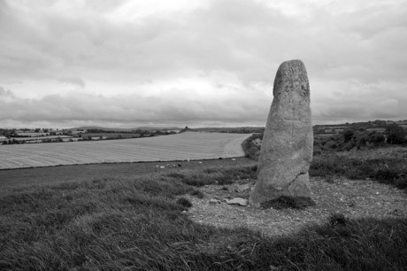 Kilgowan, Kildare, Ireland, July 2020