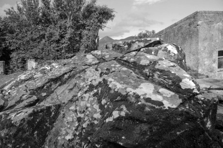 Boheh, Mayo, Ireland, June 2020 © Tom O’Connor 2020