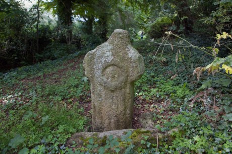 Stepaside, Dublin, Ireland, July 2020