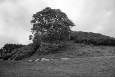 Dowth, Meath, Ireland, June 2020