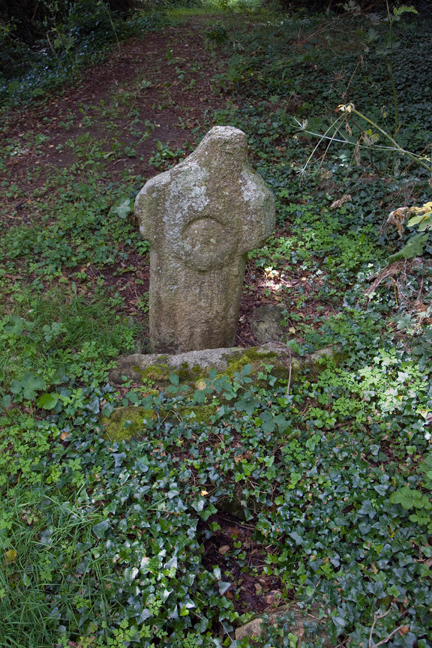 Stepaside, Dublin, Ireland, July 2020