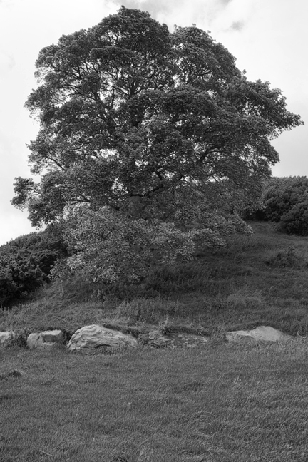 Dowth, Meath, Ireland, June 2020