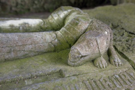 Kilcooley Abbey, Tipperary, Ireland, June 2020