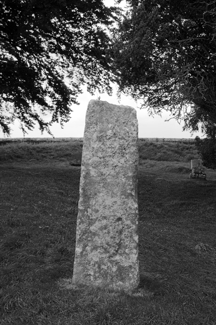 Tara, Meath, Ireland, June 2020