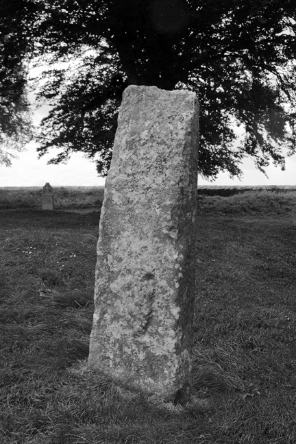 Tara, Meath, Ireland, June 2020