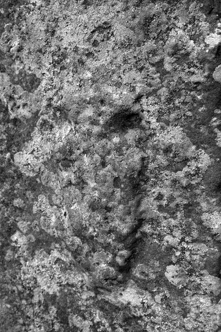 Tara, Meath, Ireland, June 2020