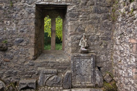 Gortmore, Tipperary, Ireland, June 2020