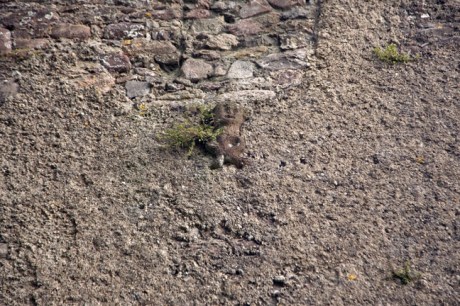 Shanrahan Church, Tipperary, Ireland, June 2020