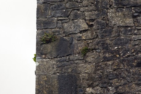 Cashel, Tipperary, Ireland, June 2020