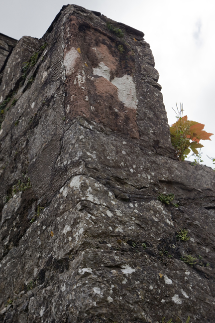 Malahide Abbey, Dublin, Ireland, August 2020