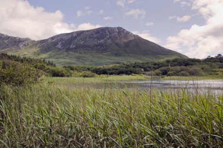 Pollacapall Lough, Galway, Ireland, June 2020