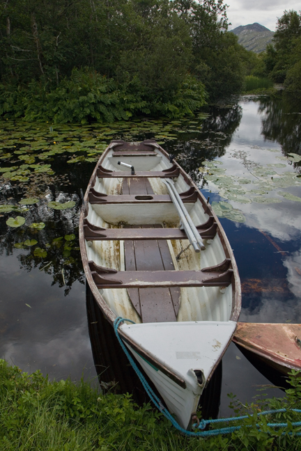 Bealnabrack River, Galway, Ireland, June 2020