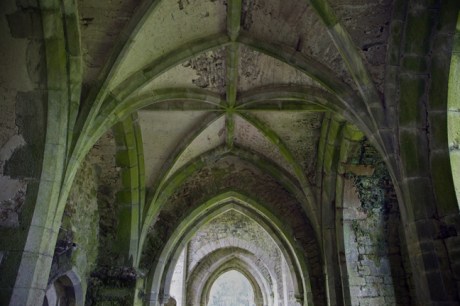 Kilcooley Abbey, Tipperary, Ireland, June 2020