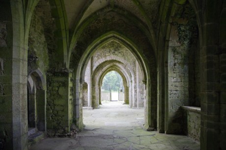 Kilcooley Abbey, Tipperary, Ireland, June 2020