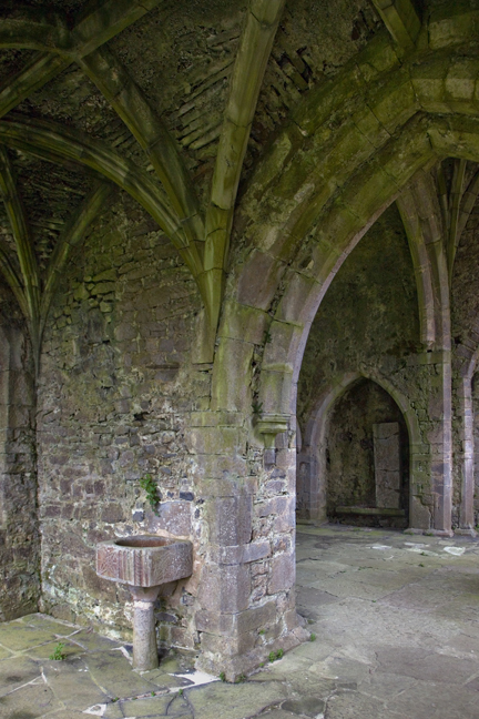 Kilcooley Abbey, Tipperary, Ireland, June 2020