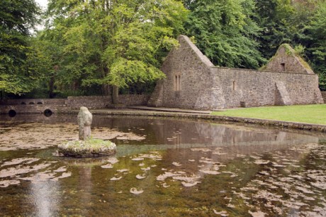 Gortmore, Tipperary, Ireland, June 2020