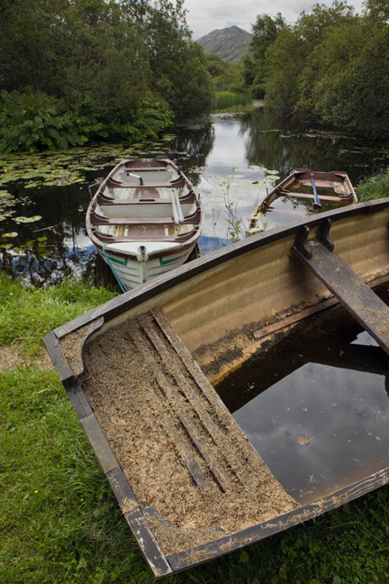 Bealnabrack River, Galway, Ireland, June 2020