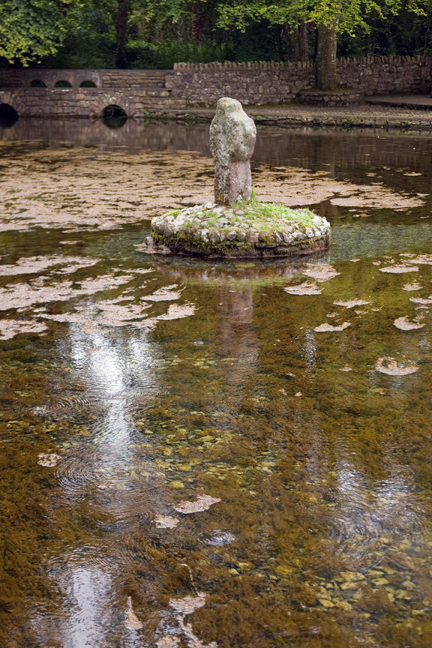 Gortmore, Tipperary, Ireland, June 2020