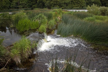 Slane, Meath, Ireland, June 2020