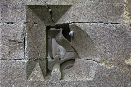 Kilcooley Abbey, Tipperary, Ireland, June 2020