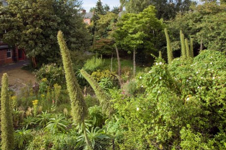 St. Mary's, Dublin, Ireland, August 2020