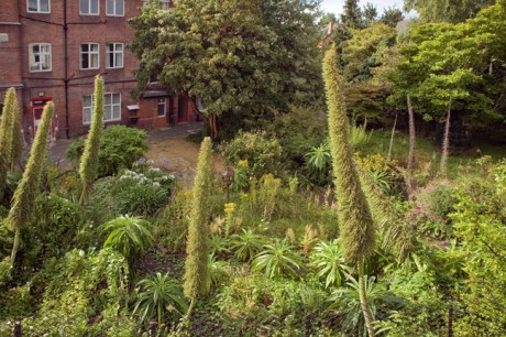 St. Mary's, Dublin, Ireland, August 2020