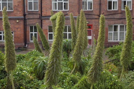 St. Mary's, Dublin, Ireland, August 2020