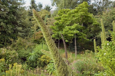 St. Mary's, Dublin, Ireland, August 2020