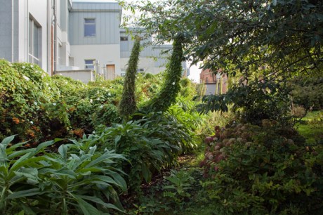 St. Mary's, Dublin, Ireland, August 2020