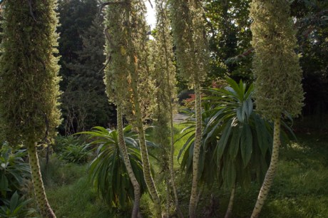 St. Mary's, Dublin, Ireland, August 2020