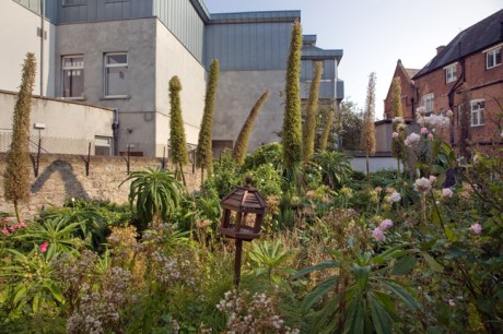 St. Mary's, Dublin, Ireland, August 2020