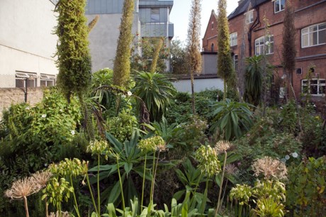 St. Mary's, Dublin, Ireland, August 2020