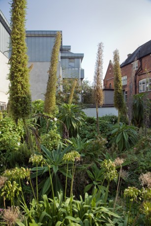 St. Mary's, Dublin, Ireland, August 2020