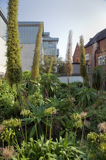St. Mary's, Dublin, Ireland, August 2020