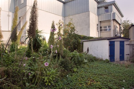 St. Mary's, Dublin, Ireland, August 2020