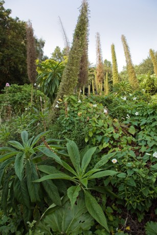 St. Mary's, Dublin, Ireland, August 2020