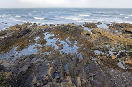 Malahide, Dublin, Ireland, August 2020