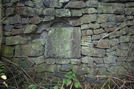 Balleen Little, Kilkenny, Ireland, June 2020