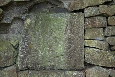 Balleen Little, Kilkenny, Ireland, June 2020